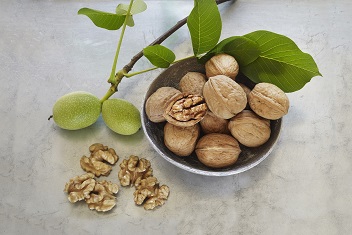 healthy walnuts